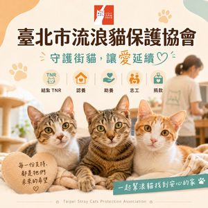 臺北市流浪貓保護協會
